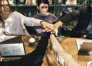 How Does Basecamp Foster Transparency Without Overwhelming Users?