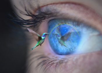 Are Smartwatches Worth the Investment for Outdoor Adventures?