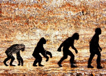 The Horizon of Human Evolution: Is It Already Set in Motion?