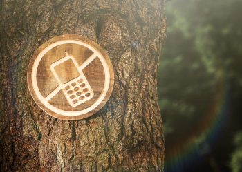 Can Long Trail Hikes Cure Digital Detox Fatigue?