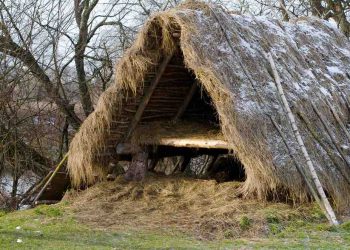 Can You Build Shelter from Natural Materials Alone?