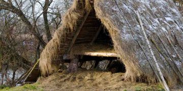 Can You Build Shelter from Natural Materials Alone?