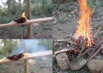 Why Are Fire and Water the Cornerstones of Survival?