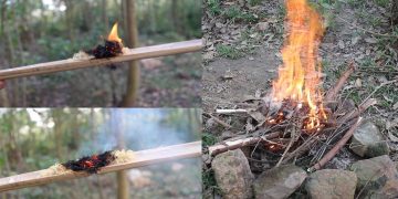 Why Are Fire and Water the Cornerstones of Survival?