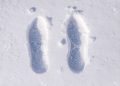 Is It Possible to Track Human Footprints in the Wild?