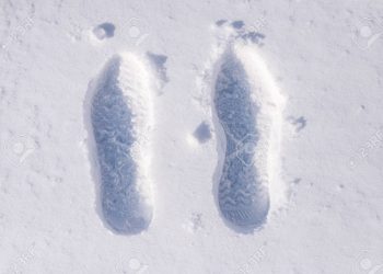 Is It Possible to Track Human Footprints in the Wild?