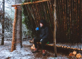 Are You Equipped to Build Shelter from Scratch in the Forest?