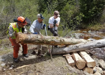 How Can You Preserve the Beauty of Untouched Trails?