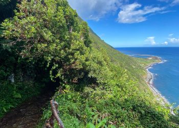 How Can Trail Hikers Stay Safe in Remote Areas?