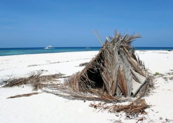 What Are the Most Dangerous Fieldcraft Myths You Need to Avoid?