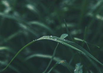 Why Do Some Trails Challenge Your Mind, Not Just Your Body?