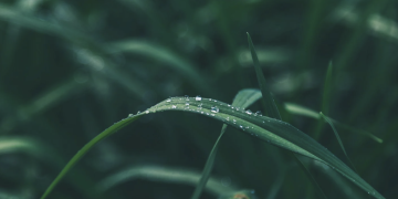 Why Do Some Trails Challenge Your Mind, Not Just Your Body?