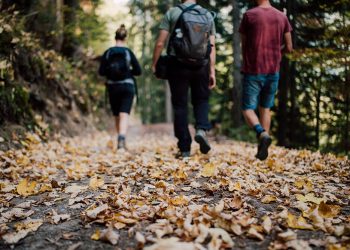 How Can You Maximize Your Trail Experience Without Overdoing It?