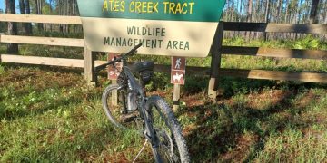 Wildlife Encounters on Trails: A Risk or Reward?