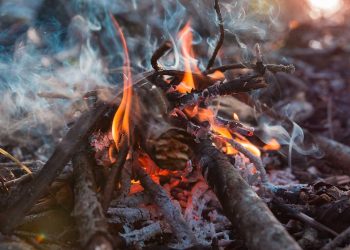 Fieldcraft: A Lost Art in Modern Survival Training?