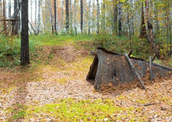 What Happens When You Lose Your Sense of Direction in the Wilderness