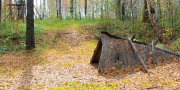 What Happens When You Lose Your Sense of Direction in the Wilderness